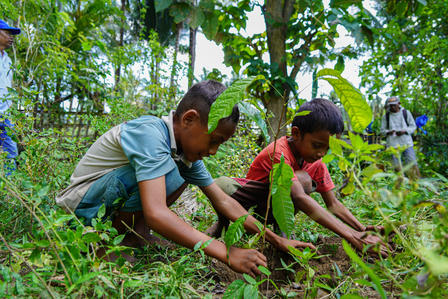 Two young boys planting seedlings in a lush green garden, surrounded by trees.