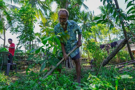 An elderly man works in a lush garden, pruning plants with a tool, while a younger man stands nearby.