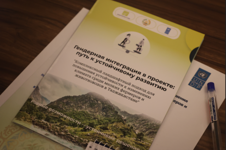 A brochure titled "Integrated Approach to Sustainable Development" on a wooden surface with a pen.