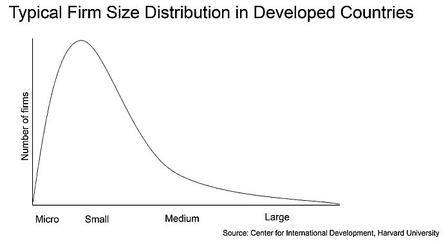 Graph depicting firm size distribution in developed countries, ranging from micro to large businesses.