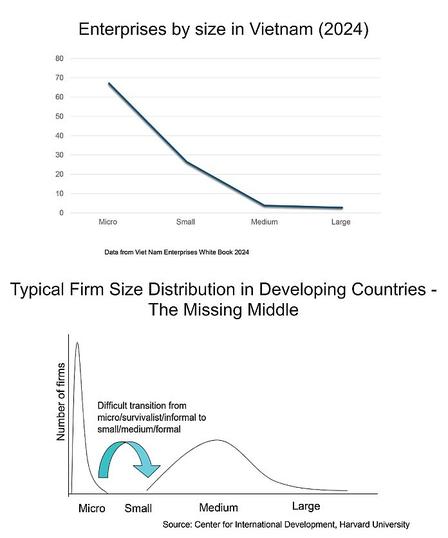 Graph comparing enterprise sizes in Vietnam (2024) and typical firm size distribution in developing countries.