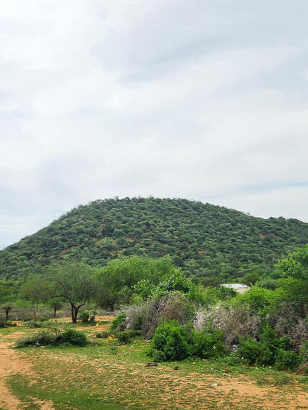 Lush green hill under a cloudy sky, surrounded by sparse trees and brush.