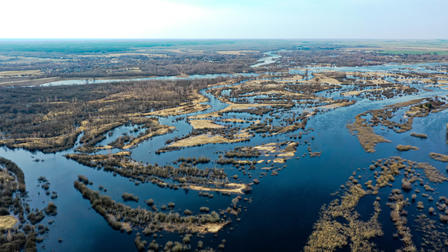 Aerial view of a marshy wetland with winding blue waterways and grassy islands.