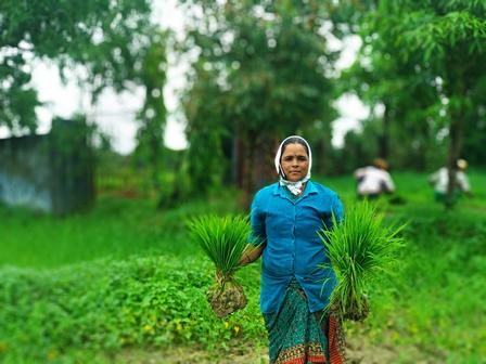 Farmer in a blue jacket beside two young palm saplings in a lush green field.