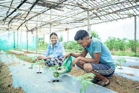 Two people tending to plants in a greenhouse, one watering and the other planting.
