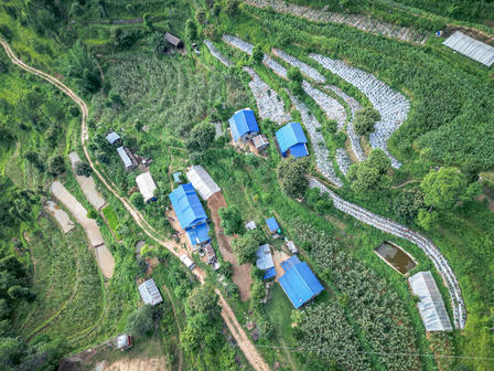 Aerial view of a lush green landscape with scattered blue-roofed buildings and winding paths.