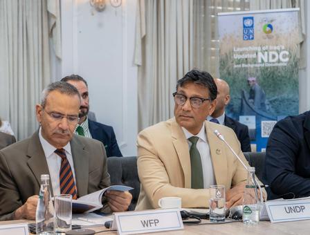 Panelists in suits at a conference table; WFP placard, UNDP logo, water glass, white curtains.