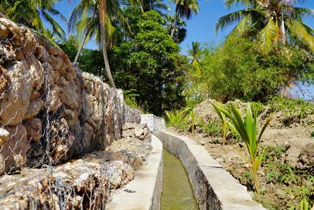 Sunny tropical garden path beside a stone wall and narrow water canal, with palm trees.