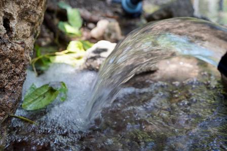 Water trickling over mossy rocks in a small woodland stream.