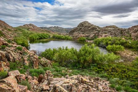 Rocky desert landscape with a green pond, sparse shrubs, and distant hills under a cloudy sky.