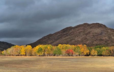 Autumn trees in yellow and orange along a field, with a rocky hill and cloudy sky.