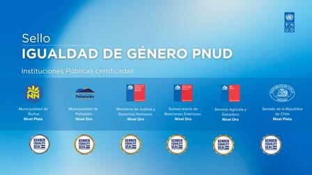 Blue gradient banner for UNDP Gender Equality Seal with circular badges and small flags.
