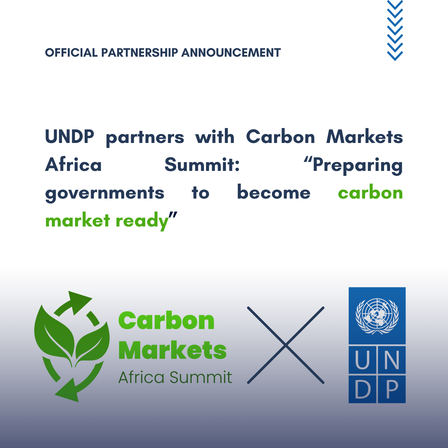 Official partnership banner with UNDP and Carbon Markets Africa Summit logos.