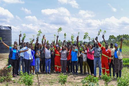 Tree Planting 