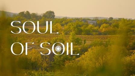 Photo: rural fields and trees bathed in warm light with overlay text 'SOUL OF SOIL'.
