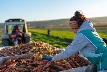 Uniunea Europeană și PNUD lansează o inițiativă pentru îmbunătățirea guvernanței în agricultură și a ocupării forței de muncă în mediul rural din Republica Moldova