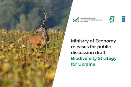 Deer with antlers in a field next to a white panel with logos and Biodiversity Strategy for Ukraine.