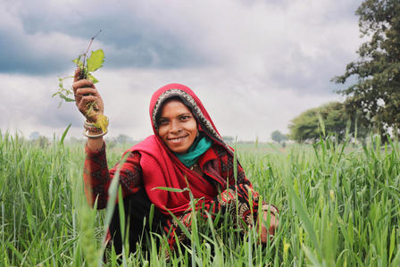 Person in red hijab holding a leaf in a green crop field under a cloudy sky.