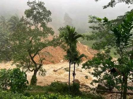 Photograph of a muddy hillside slide with brown water; lush trees in foreground.