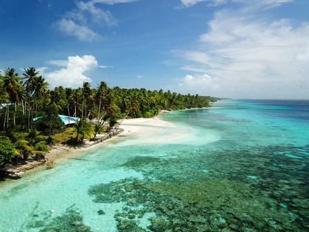 Island coastline with palm trees, white sand, and turquoise water.