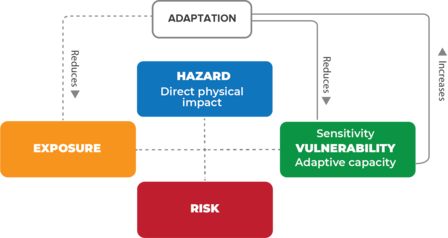 Diagram showing exposure, hazard, risk, and vulnerability with adaptive capacity.