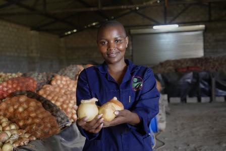 Person in blue coveralls holding two onions in a warehouse with onion sacks.