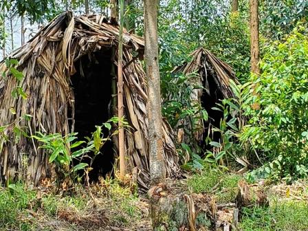 Batwa Home in Southwestern Uganda 