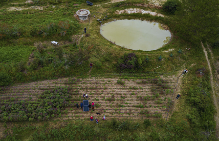 Aerial view of terraced garden plots around a circular pond, with several people nearby.