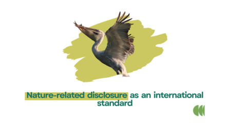 Bird in flight over yellow splash; logo for Nature-related disclosure as an international standard.