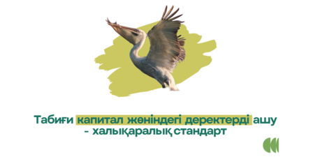 Logo featuring a flying bird above a pale yellow brush stroke and Kazakh text beneath.