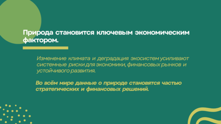 Infographic banner: green background with yellow curves about nature as a key economic factor; Russian text.