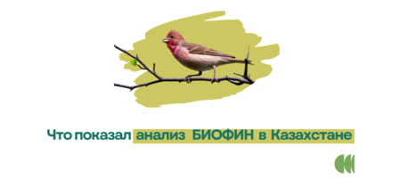 Small brown bird perched on a branch, with pale yellow-green background and Cyrillic caption.