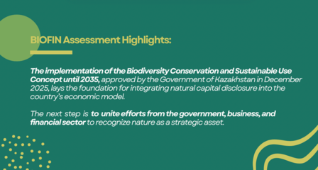 BIOFIN Assessment Highlights banner on green-to-blue gradient with yellow decorative curves.
