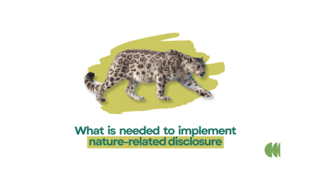 Graphic: spotted big cat on a yellow shape with green text about nature disclosure standards.