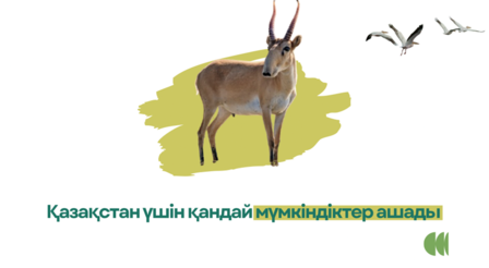 Deer on a green-yellow splash with two birds in the sky; Kazakh text and green logo at bottom.