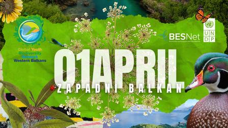 Colorful nature festival poster featuring a river scene, duck, sunflower, flowers, and 01 APRIL.