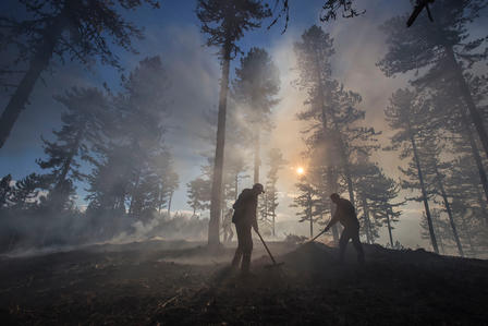undp-tr-turkey-forest-fire-sdg15-silhouettes-smoke.jpg