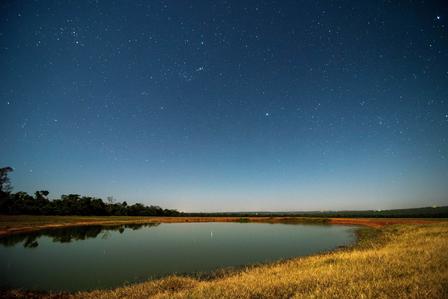 Photo: starry night over a calm pond, golden grasses along the shore, distant trees.
