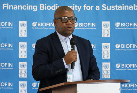 Photograph of a man in a suit speaking at a podium against a BIOFIN backdrop