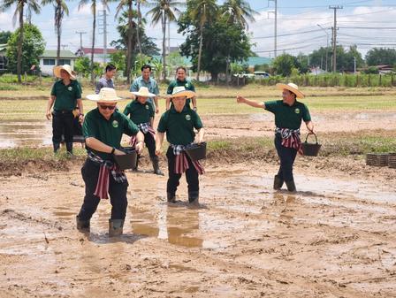 Group of people in green shirts standing in a muddy field.