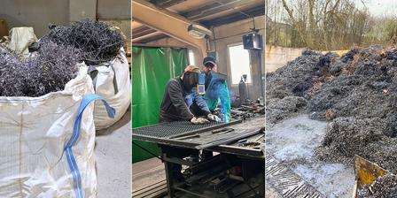 Three-panel collage: dog by a white bag; two people at a workshop; dirt mound.