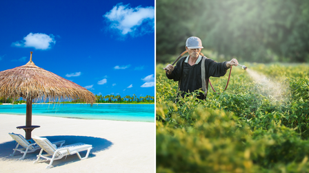 Split image: tropical beach with umbrella and lounge chairs; person with hat in a grassy field.