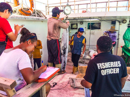 Controlling by-catch trans-shipment in Noro, Solomon Islands. Photo: Francisco Blaha