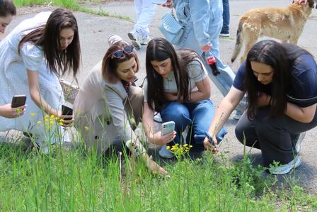 Group of young women crouching by a grassy patch, examining wildflowers.