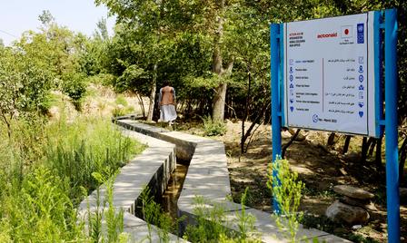 Sunlit garden with stepping-stone path and a blue information sign.