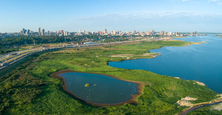 Aerial view of coastal wetlands with ponds and a distant city skyline.