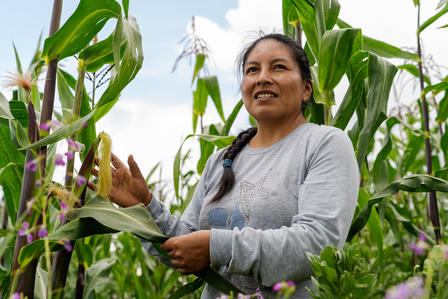 A woman in a gray long-sleeve shirt stands among tall corn plants, smiling.