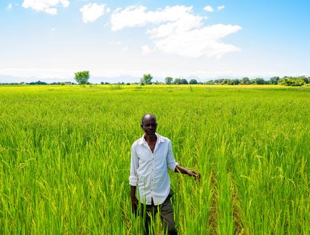 Photograph of a man in a light shirt standing in a lush green field under a blue sky.
