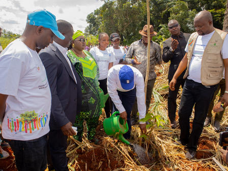 Photograph of a diverse group planting a sapling outdoors, dirt and a green bucket nearby.