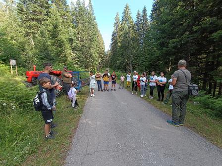 Group of hikers standing on a paved forest road flanked by tall trees.